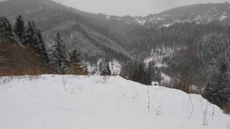 Rekreačný pozemky v nádhernej lokalite Oščadnica U Haladeji