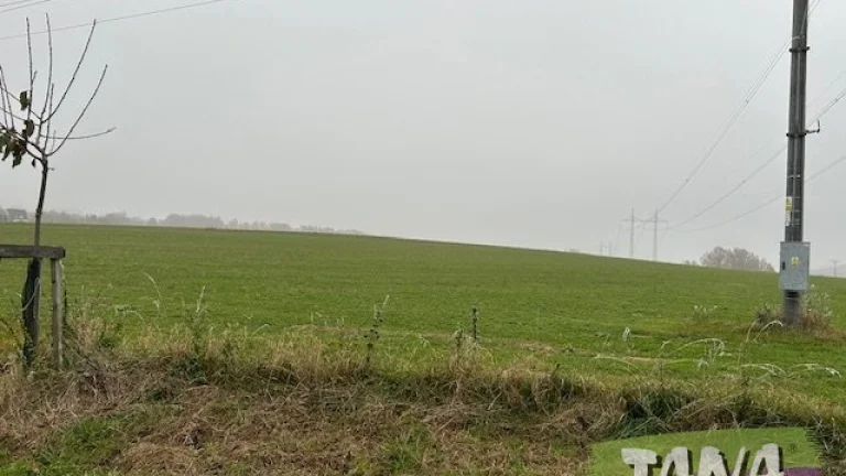 Prodej pozemků v obci Mírová pod Kozákovem ,část Bělá