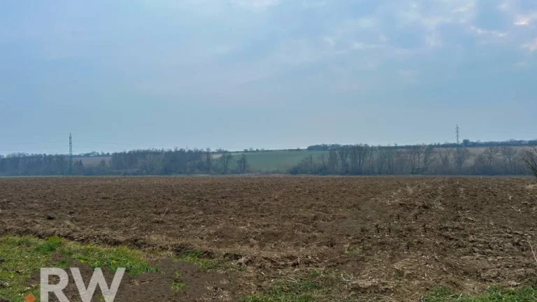 REWIN I na predaj - orná pôda v obci Vištuk