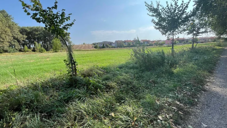 Pozemok v Skalici pri Krivých Kútoch na predaj
