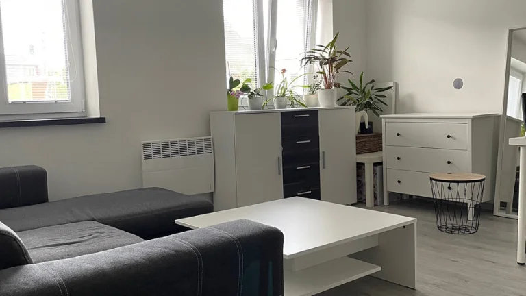 Pronájem bytu 2,5+kk, 55 m², Litultovice – po rekonstrukci