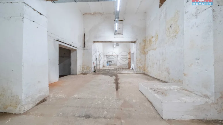 Pronájem skladu, 1366 m², Štěnovice, ul. Plzeňská