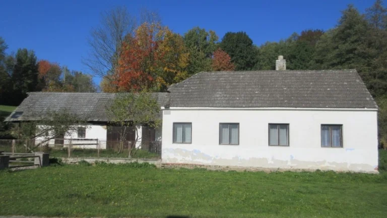 NA PRODEJ - RD NETONICE U DRAHONIC (STRAKONICKO) podíl 6/7