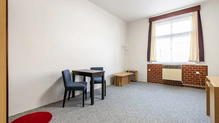Pronájem bytu 1+kk, náměstí Jiřího z Lobkovic, Vinohrady, 15