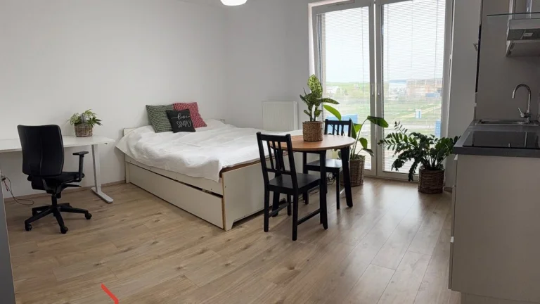 Pronájem, byty/1+kk, 30 m2, Diamantová 854/1, Újezd, 31200 P
