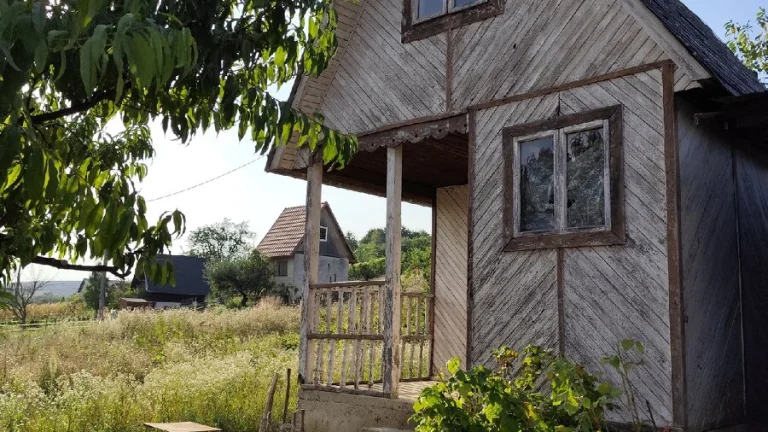 Predám Vinicu, Záhradu