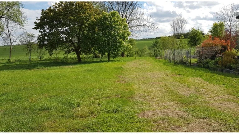 STAVTE HNED- Stavební Pozemek u Prahy /St.Povolení/Projekt