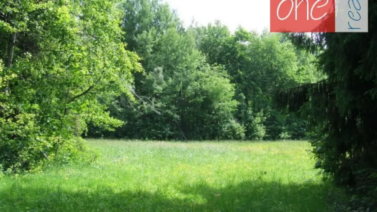 Pronájem pozemku - Rokytnice nad Jizerou