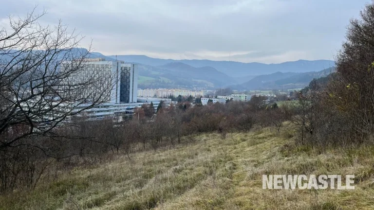 NEWCASTLE │Exkluzívne Na predaj orná pôda s veľkým potenciál