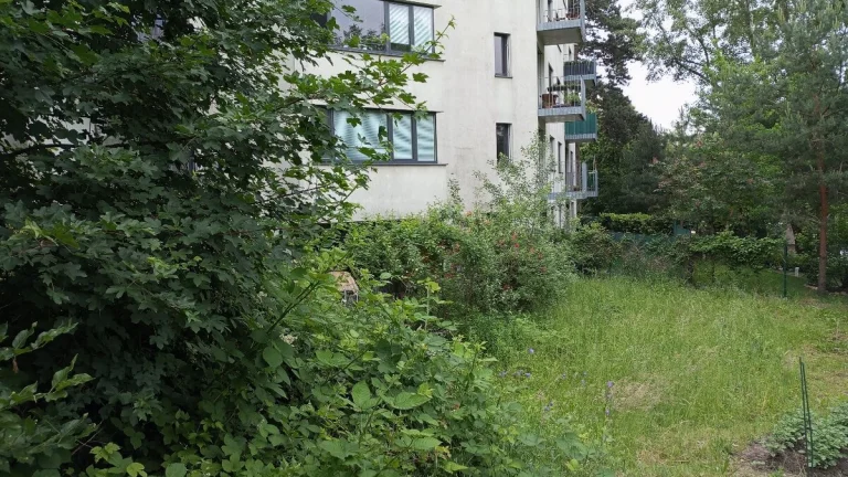 Záhrada parcelné číslo 2569/19