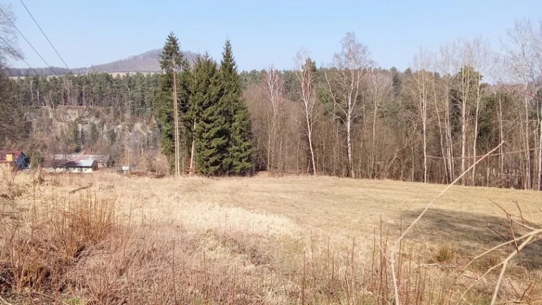 Prodej, pozemky/bydlení, 22894 m2, 40502 Janská, Děčín [ID 6