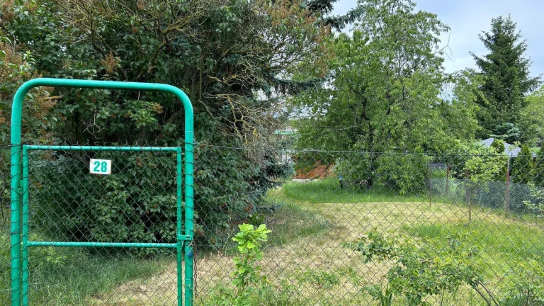 Pronajmu zahrádku za vodárnou