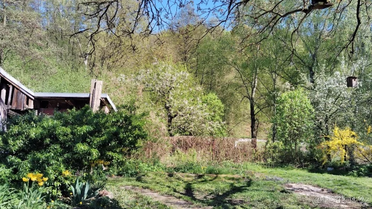 Dům,chalupa