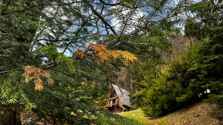 Predaj nová eko chata Donovaly, 370 m2 pozemok