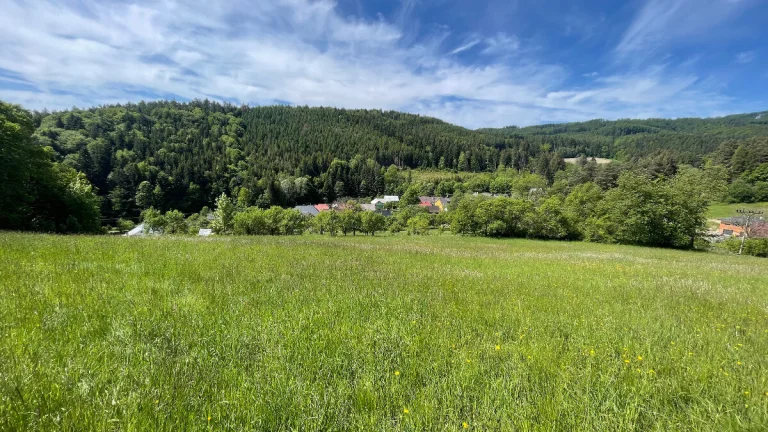 Prodej stavebního pozemku Kateřinice u Vsetína, 3809 m2