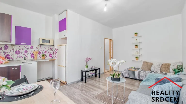 Pronájem bytu v os. vlast. o velikosti 1+kk/21 m2 + zasklená