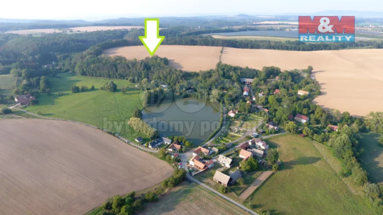Prodej lesa, 31075 m², Dolní Bousov