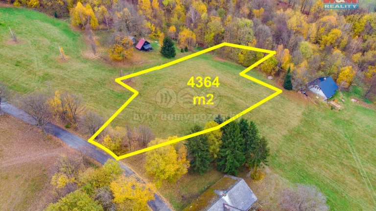 Prodej pastviny, 4364 m², Rokytnice v Orlických horách