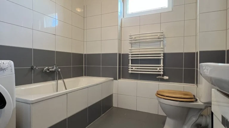 Pronájem, byty/1+1, 47 m2, H. Salichové 1682, Frýdek, 73801