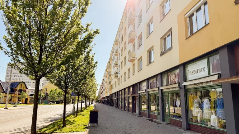Pronájem bytu 2+1, 56 m²