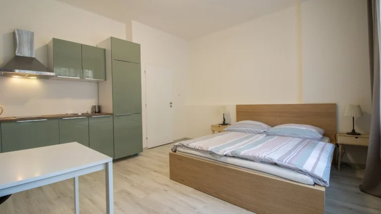 krásný byt 1+kk, 27m2 v ul. Na Zbořenci, Praha 2 -Nové Město