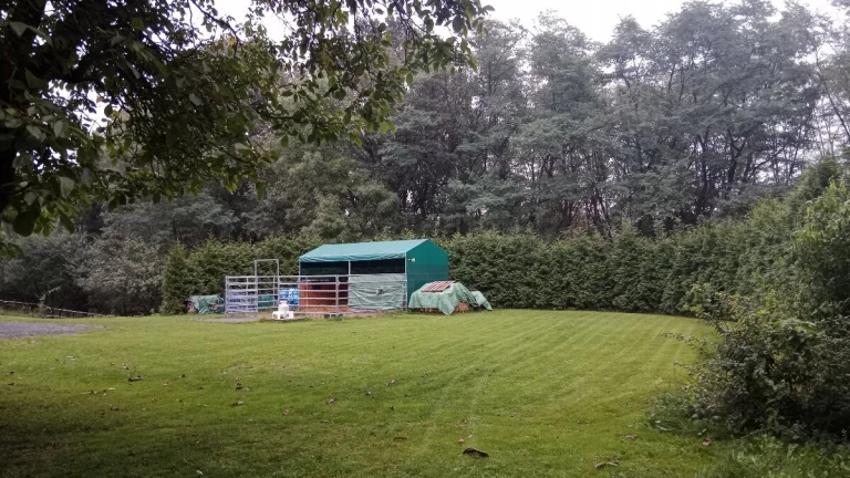 Prodám RD, chalupu na polosamotě s lesem a velkým pozemkem