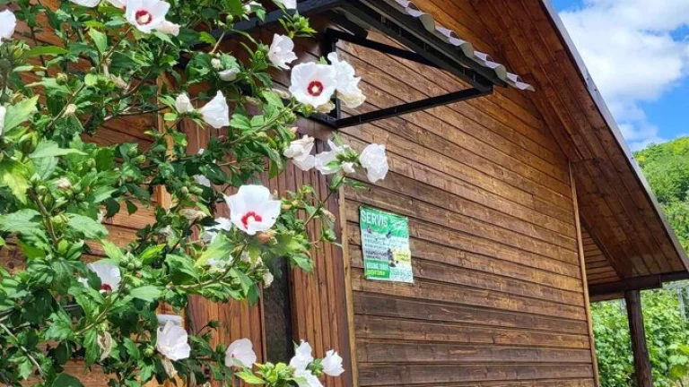 Na predaj vinica s chatkou Hegyfarok Štúrovo