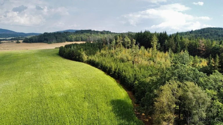 Prodej lesa 26219 m², Kaničky, okr. Domažlice