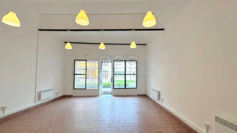 Pronájem obchod a služby, 66 m², Libochovice, ul. Purkyňova