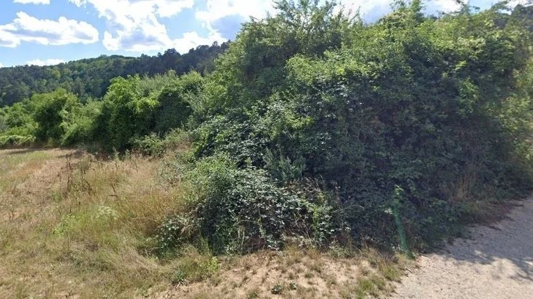 Pozemok na predaj - orná pôda 2 ha, Nové Mesto nad Váhom