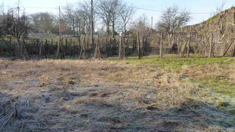 Predaj, stavebný pozemok, Dulovce