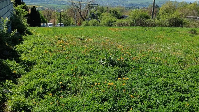 Prodám stavební pozemek 1630 m2