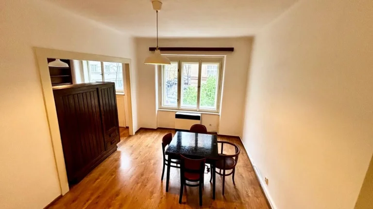 Pronajmu světlý byt 1+1 36m2 Radhošťská ul. Praha 3 - Žižkov