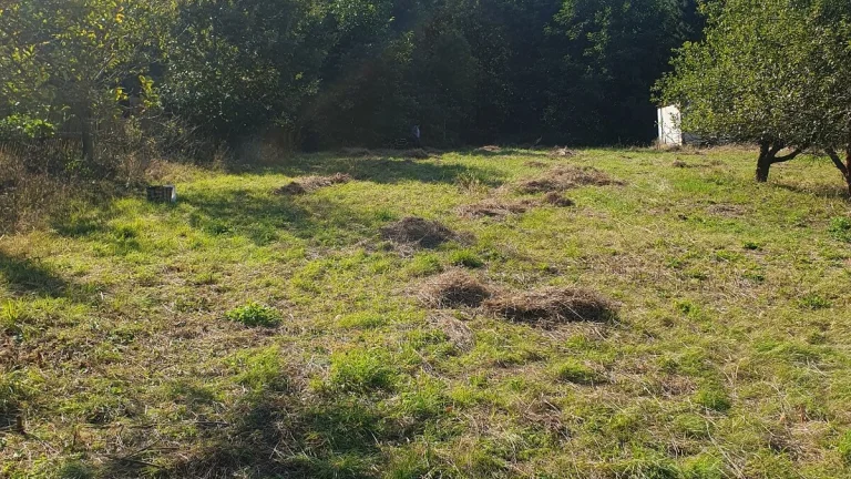 Prodám krásný pozemek za obcí Smolnice u Loun