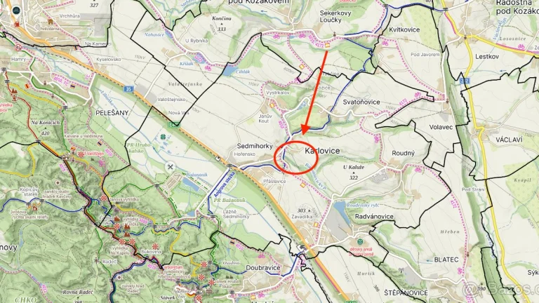 Prodej trvalého travního porostu - podíl 1/2, 1982m²
