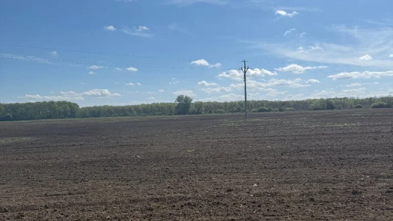 Prodej pole - orná půda podíl 1/2, 2512m²