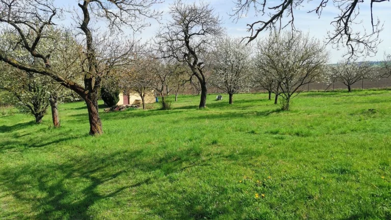 Prodej chaty s velkou zahradou, celkem 2 257 m2 - Ponětovice