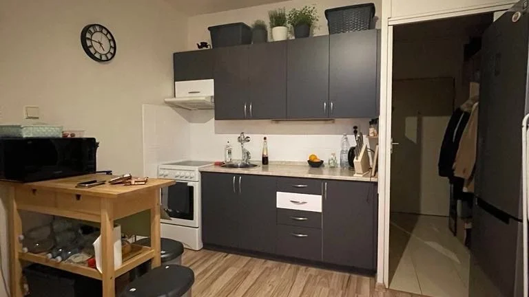 BEZ PROVIZE RK - Pronájem bytu na Střekově