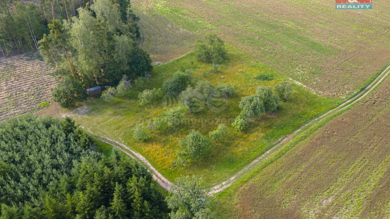 Prodej ovocného sadu v Morašicích