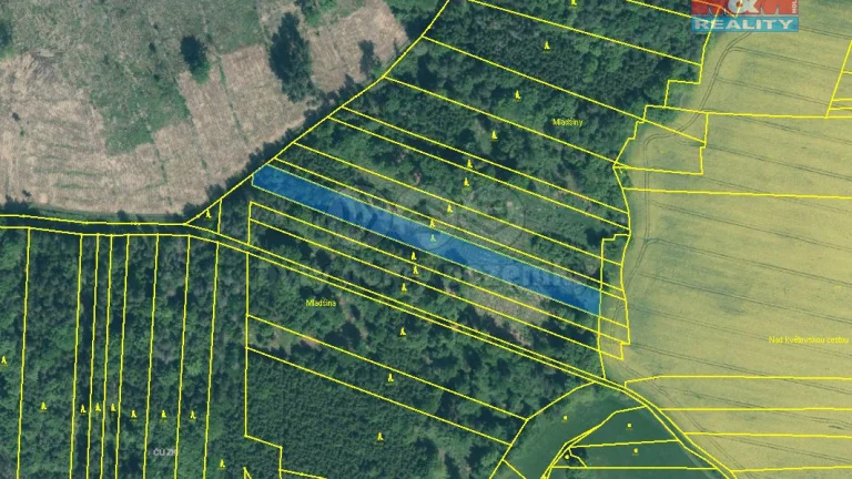 Prodej lesa, 4125 m², Stehlovice