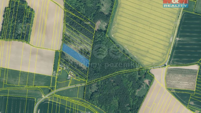 Prodej lesa, 6579 m², Stehlovice