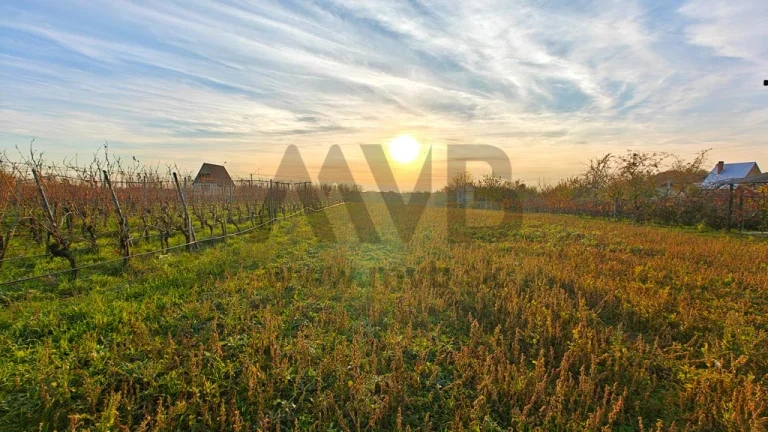ROZĽAHLÝ POZEMOK S ROZLOHOU VIAC AKO 30 ÁROV | OKRES KOMÁRNO
