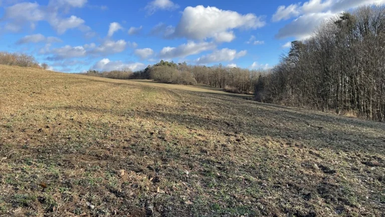 Blansko - Těchov, travní porost 2 458 m2, investice - pozeme