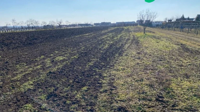 Vinice a orná půda v k.u. Moravská Nová Ves -...