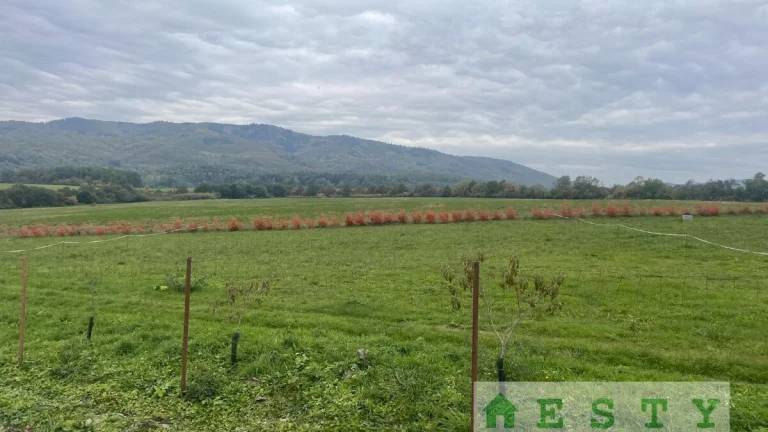 na predaj stavebný pozemok Lovčica - Trubín