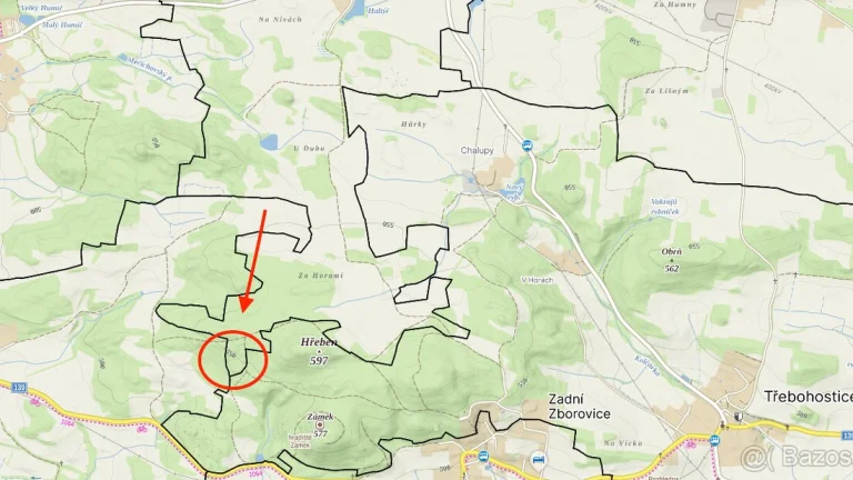Prodej lesa 3910 m2 - Strakonice