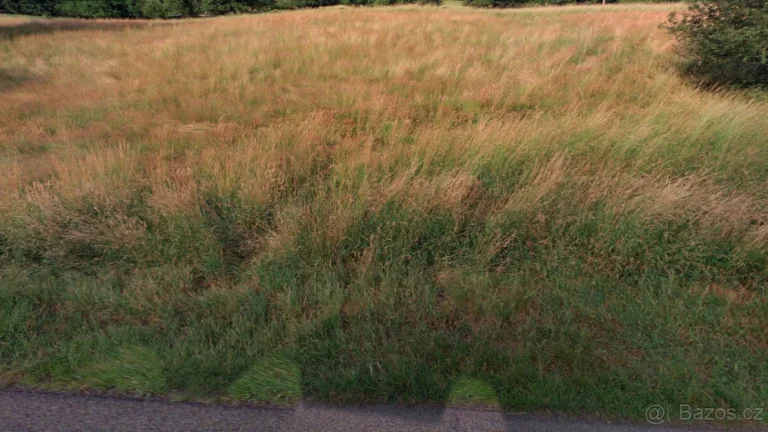 Pronajmu louky, Malé Březno, 1,7 ha vhodné na dotace