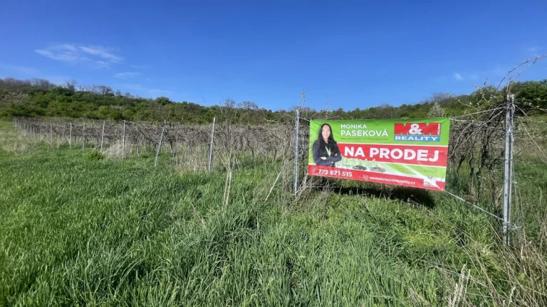 Prodej vinice, 9215 m², Sedlec