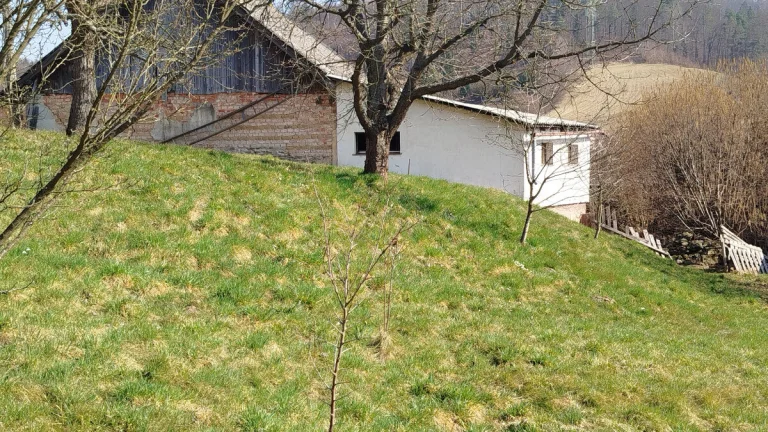 Stavební pozemek v čisté přírodě 828 m² v Dlouhomilově