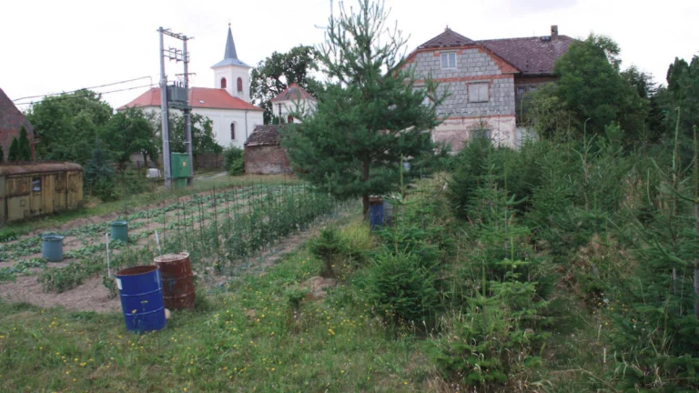 Prodej obec Vidice u Kutné Hory, pozemek, zahrada 1.478 m2